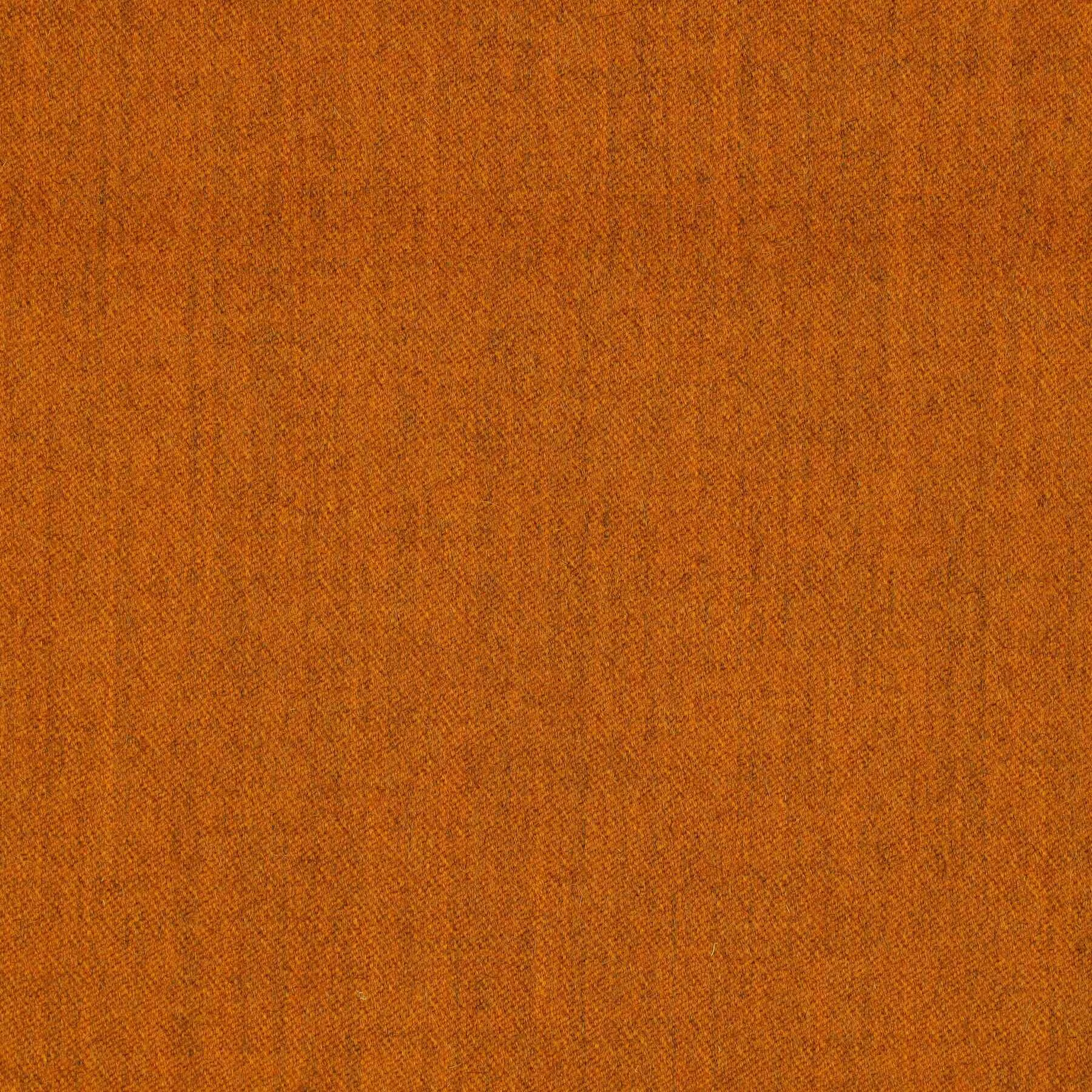 816